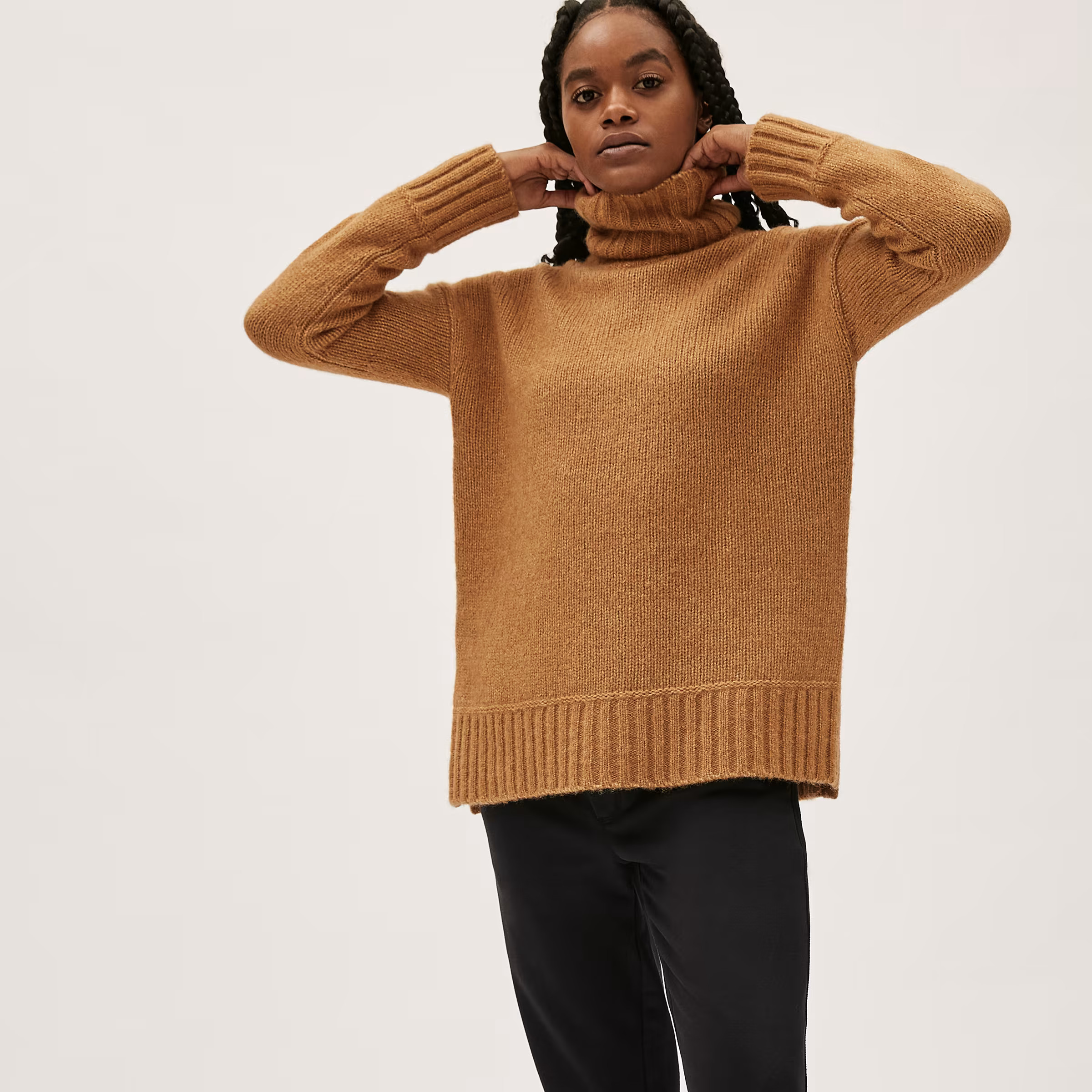The Cloud Turtleneck | Everlane