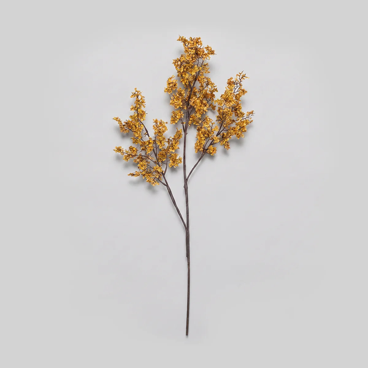 Faux Sedge, Winter Saffron | Sedge Grass Stem | Bloomist, Inc