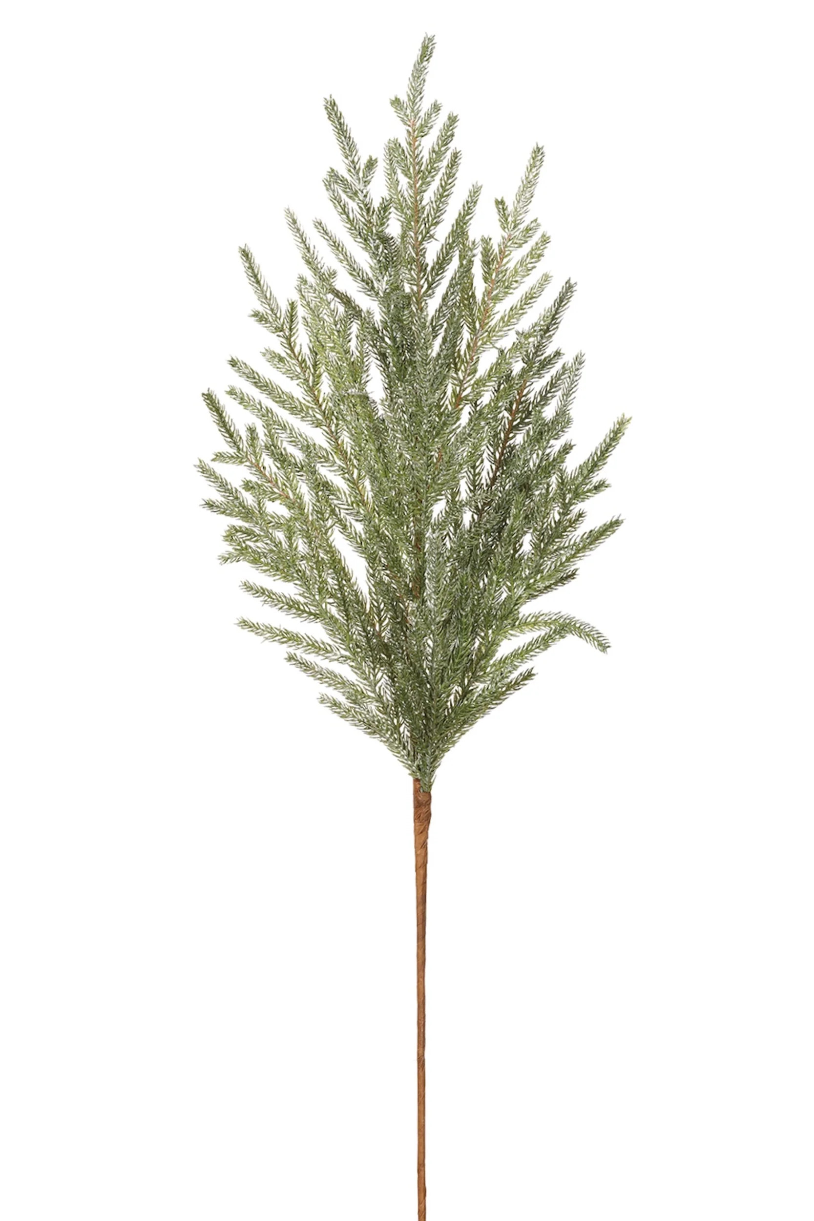 Cypress Spray 36" | Gatehouse No.1