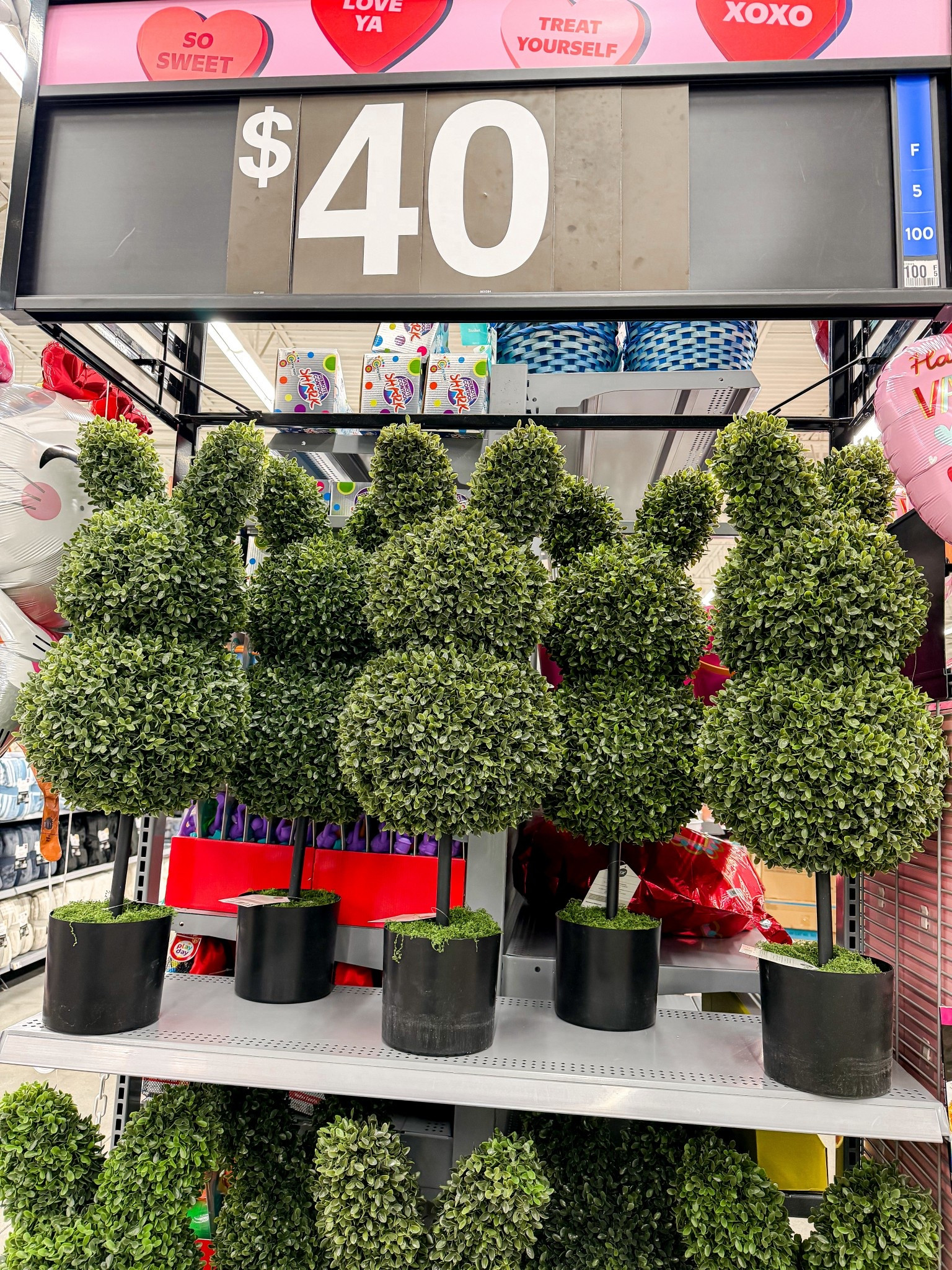 Walmart Easter & Spring Decor
Bunny Topiary Plants

#LTKSaleAlert #LTKHome #LTKSeasonal