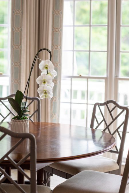 😍 Timeless Breakfast Nook 

Shop the look both high and low price points. 

Kitchen inspiration, kitchen decor, traditional kitchen decor, southern kitchen decor, classic kitchen decor, kitchen inspiration, bamboo chair, dining chair, wood dining chair, orchid, custom curtains, curtains with trim, Grandmillennial kitchen 

#LTKstyletip #LTKhome #LTKfindsunder100