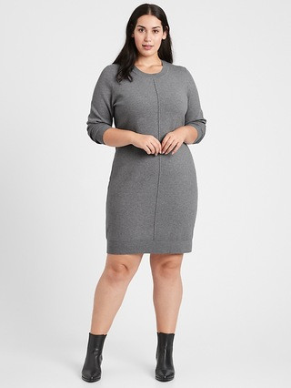 Sweater Dress | Banana Republic (US)