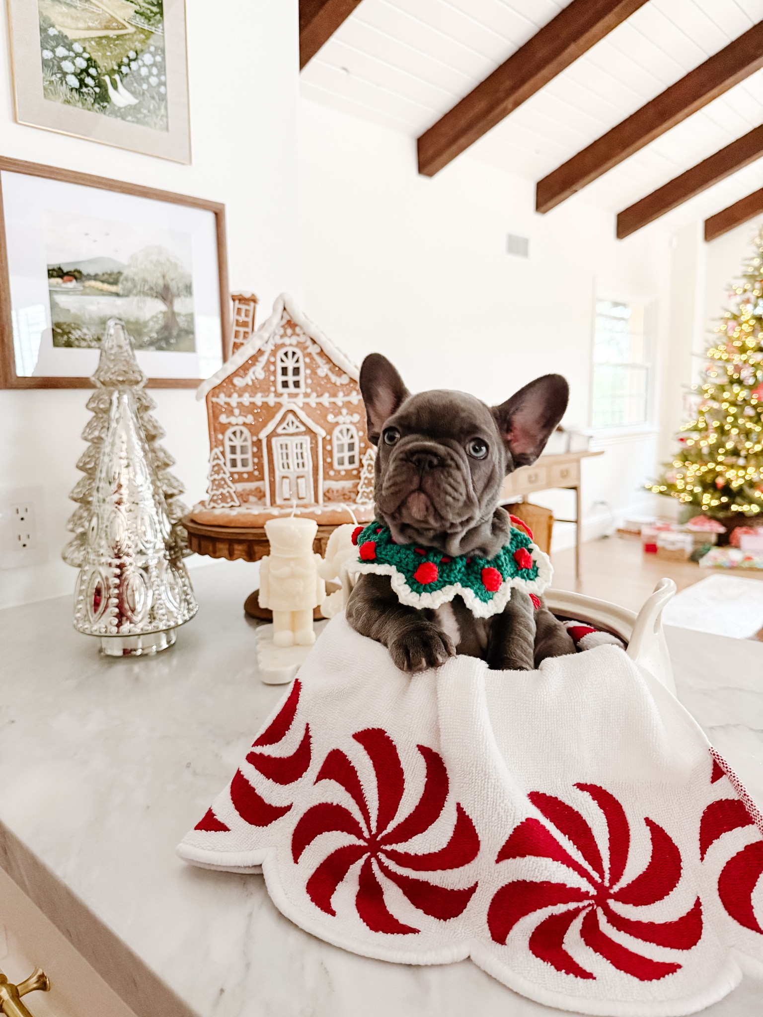 Peppermint swirl hand towels