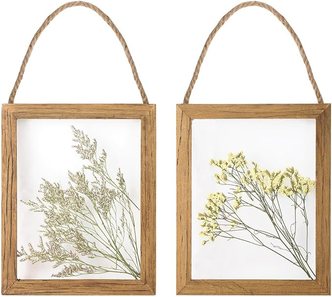 NIKKY HOME Dried Flowers Grass Wall Art Set of 2 Natural Plant Artwork with Clear Glass Display F... | Amazon (US)