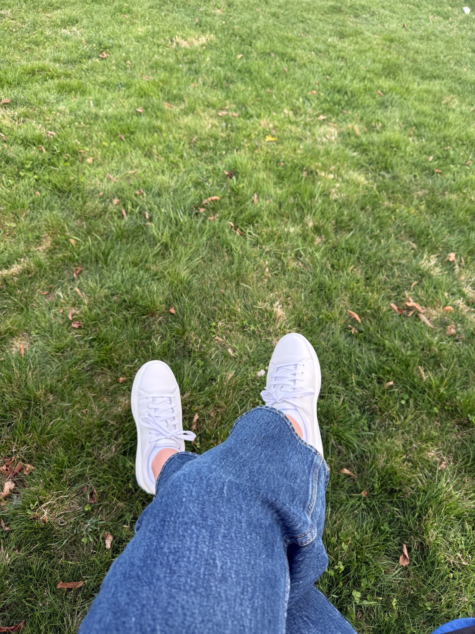 Sneakers are tts! 

@DSW 

#LTKSeasonal #LTKSaleAlert #LTKPetite