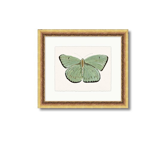 Jordan Connelly Soft Butterfly Framed Wall Art | Pottery Barn Kids