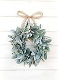 Mini Wreath, Small Wreath, Window Wreath, Farmhouse Wreath, Lambs Ear Wreath, Farmhouse Decor, Sprin | Amazon (US)