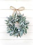 Mini Wreath, Small Wreath, Window Wreath, Farmhouse Wreath, Lambs Ear Wreath, Farmhouse Decor, Sprin | Amazon (US)