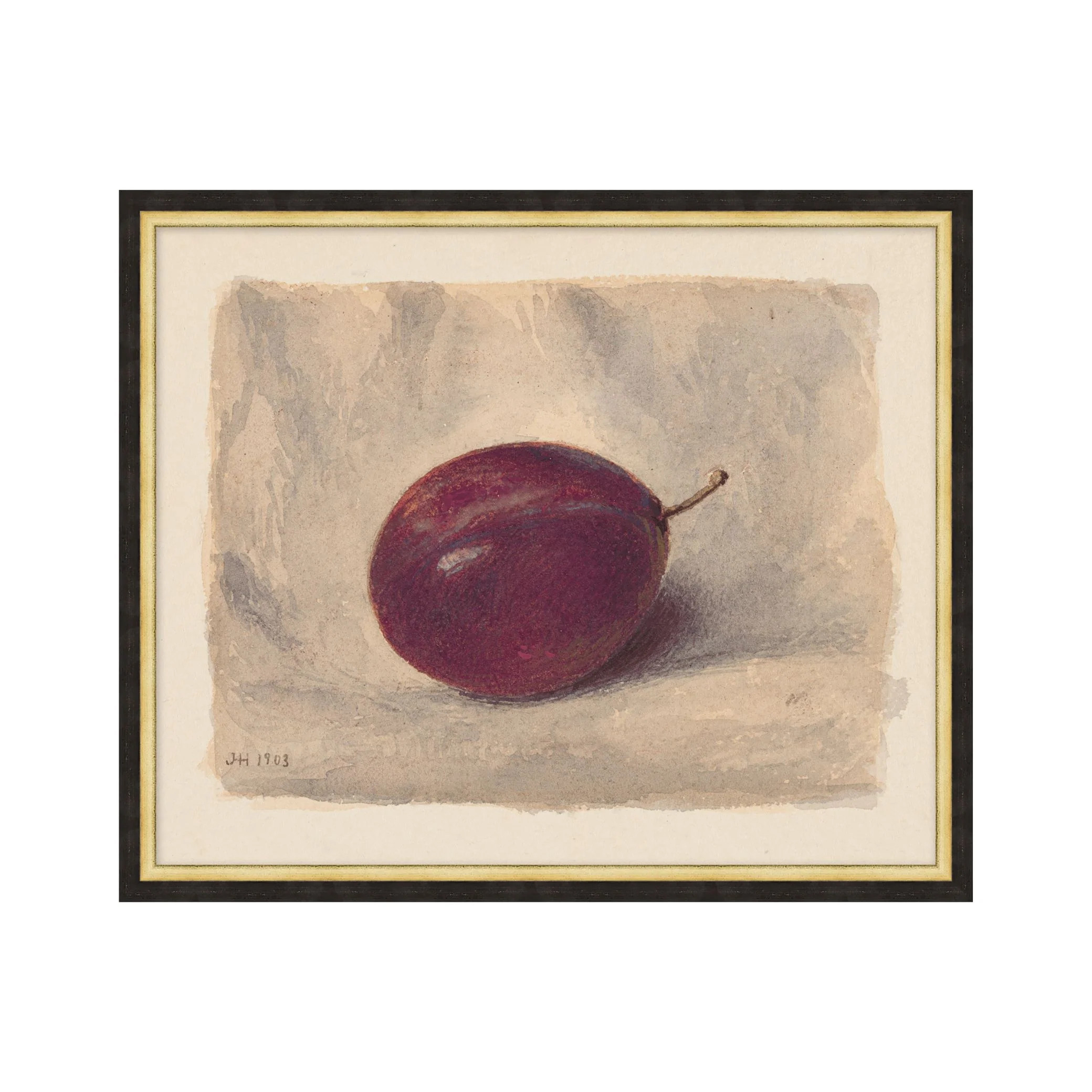 Vintage Plum Still Life | Magnolia