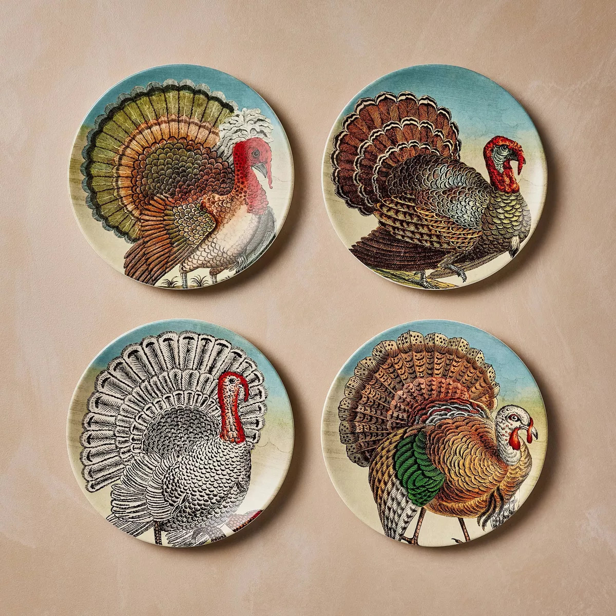 4pc Stoneware Fall Turkey Salad Plate Set - John Derian for Target | Target