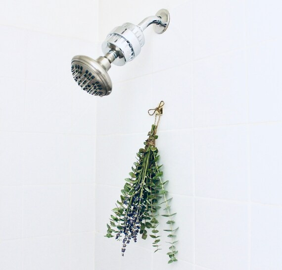 Shower Lavender & Eucalyptus Bunch | Aromatherapy | Shower Eucalyptus Bundle with Fresh Lavender ... | Etsy (US)