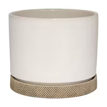 allen + roth 5.98-in W x 5.98-in H White Ceramic Planter | Lowe's