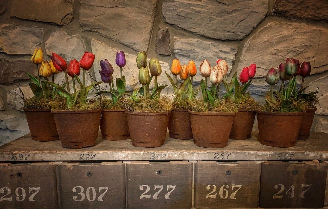 Primitive Tulip Pots | Etsy (US)