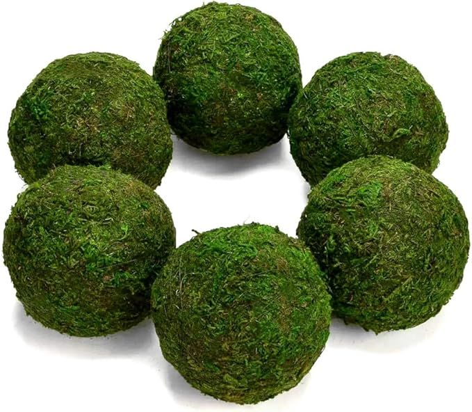 Farmoo Moss Balls Preserved All Natural, 3.5"-Set of 6 (Natural Green) | Amazon (US)
