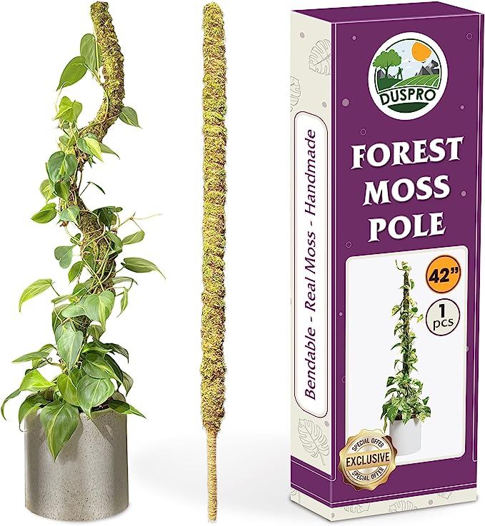 DUSPRO 42 Inch Tall Moss Pole for Plant Monstera Bendable Plant Stakes, Sphagnum Real Forest Moss... | Amazon (US)