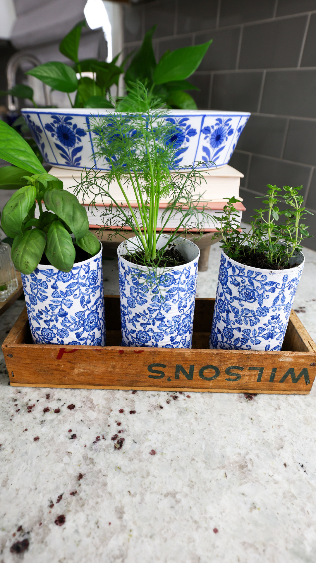 Don't throw away your aluminum cans! Make DIY planters instead!  

 #LTKU #LTKHome