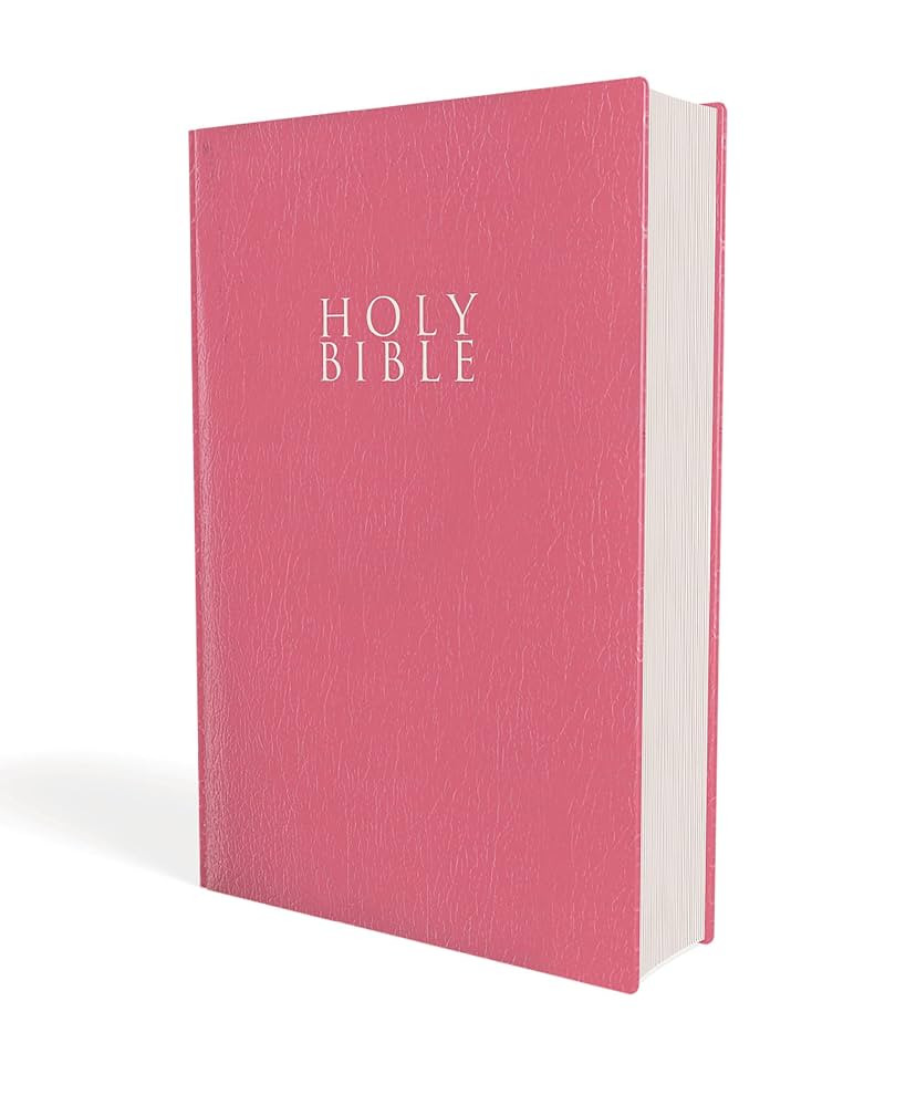 NIV, Gift and Award Bible, Leather-Look, Pink, Red Letter, Comfort Print | Amazon (US)