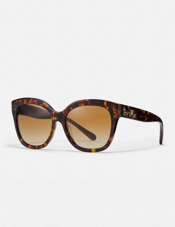 Signature Square Sunglasses | Coach (US)