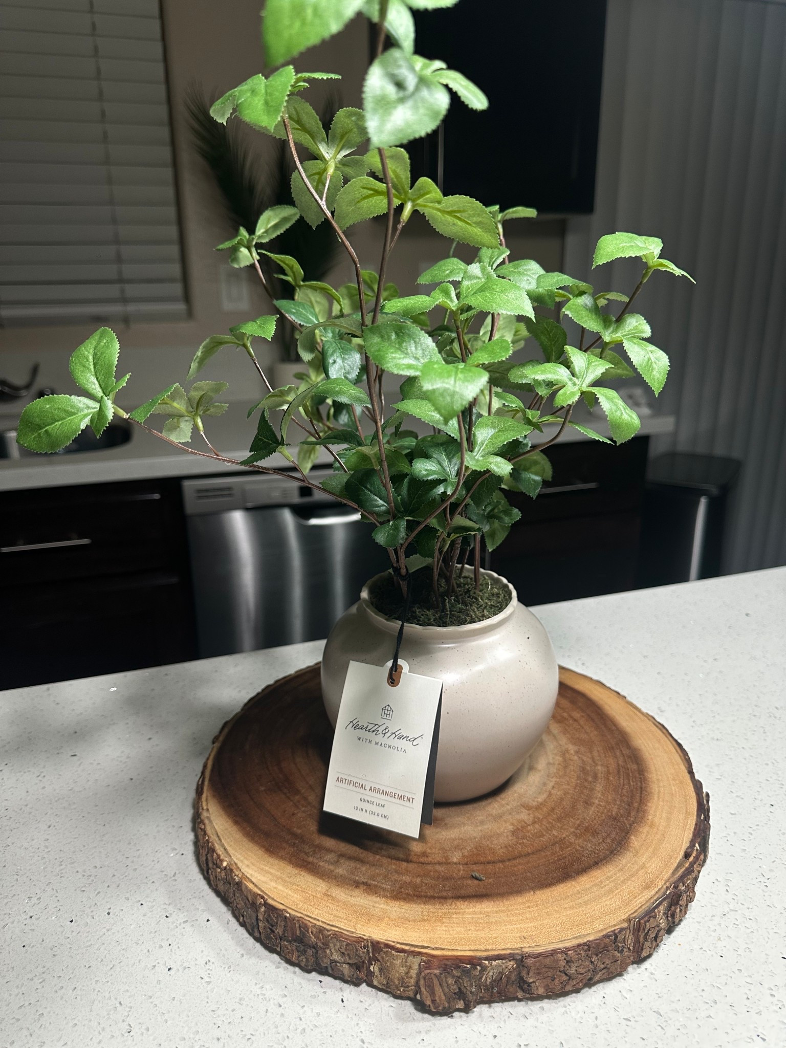 Add fresh greenery to your space without the hassle 🌿✨ This Large Green Gypsophila Artificial Plant from Hearth & Hand™ with Magnolia is perfect for home décor, living room styling, tabletop displays, and shelf accents. No watering required and easy to maintain—bring a touch of nature indoors today! 💚

•	Artificial plants
	•	Faux greenery
	•	Home décor ideas
	•	Shelf décor
	•	Tabletop accents
	•	Living room décor
	•	Indoor plants
	•	Low maintenance plants
	•	Hearth & Hand Magnolia
-

#LTKValentine
#LTKdayinmylife
#LTKgrwm
#LTKootd
#LTKfitnessgoals
#LTKmomlife
#LTKmorningroutine
#LTKselfcare

#LTKstorytime
#LTKfoodie
#LTKvlog
#LTKSeasonal
#LTKActive
#LTKU
#LTKOver40
#LTKHome
#LTKSaleAlert
#LTKMidsize
#LTKPetite
#LTKPlusSize
#LTKTall
#LTKBeauty
#LTKWorkwear
#LTKTravel
#LTKBaby
#LTKBump
#LTKKids
#LTKMens
#LTKWedding