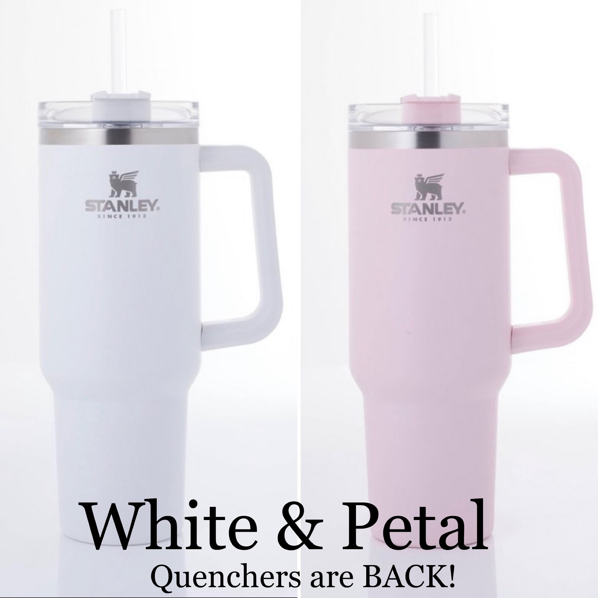 💓 The once Target Exclusive White & Petal Pink 40 oz Stanley Quencher colors are BACK!  Now available online at $40 each…ADD TO CART NOW!  The Petal Pink was my first Quencher and my most favorite color of all!



#stanley #stanleycup #viralpost #viralposts #addtocart #shopwithme #explorepage #explore #new #limitedstock #pink #grey #rose #trending #releaseday #coffee #coffeetime #hydrate #trending #ltkunder50 #ltkstyletip #popular #starbuckstumbler #starbuckscups #starbuckscoffee #tumbler #socute #newrelease #restock

#LTKunder50 #LTKhome #LTKfamily