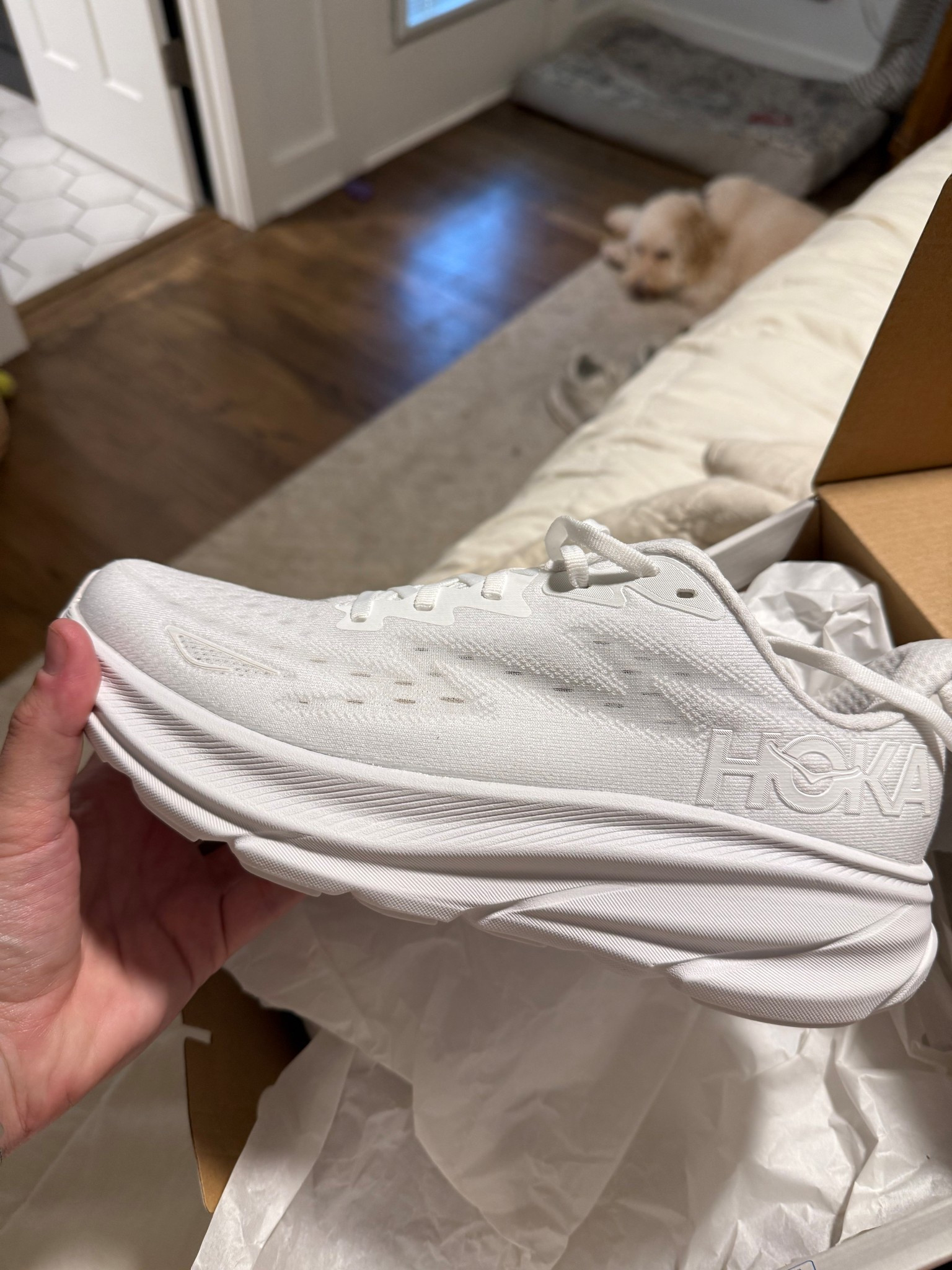 Hoka cliftons 9 / footlocker / sale 

#LTKActive #LTKSaleAlert #LTKFindsUnder100