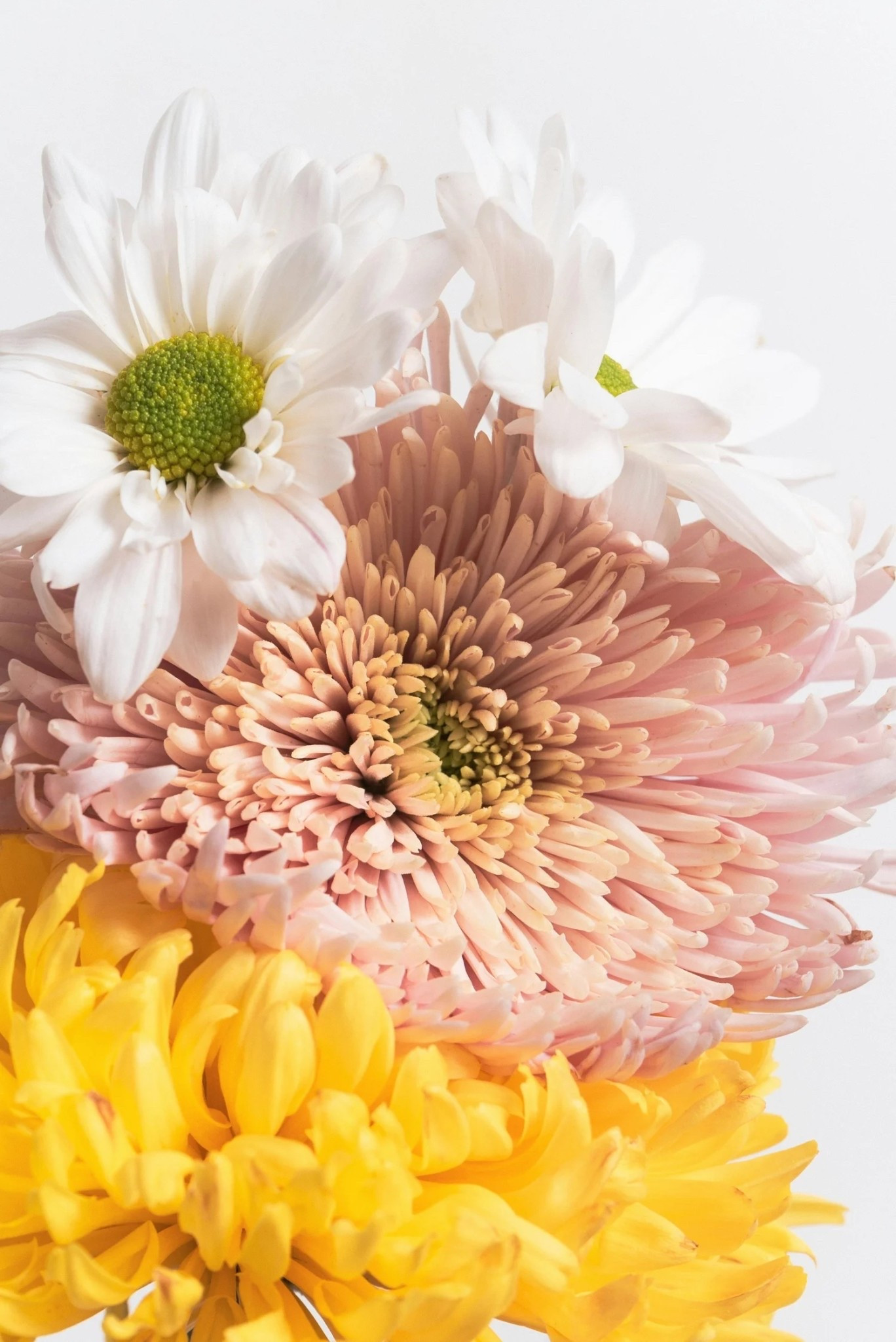 FRIDAY FAVORITES 03/06/26
I've started an exercise to focus on positivity and bring happiness into my life and those around me. I tend to dwell on the negatives, but I'm determined to retrain my brain. So, I am sharing 16 things that have made me happy in a series called "Friday Favorites" to inspire joy in others. See the full post at www.abigailamira.com

#LTKSpringSale #LTKSeasonal