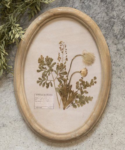 Ragon House Brown Oval Pressed Foliage Wood-Frame Wall Art | Zulily