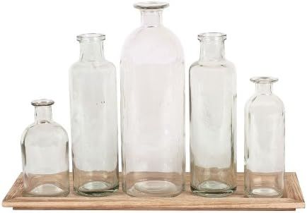 Creative Co-Op DA2672 Set of 5 Vintage Bottle Vases on Wood Tray | Amazon (US)