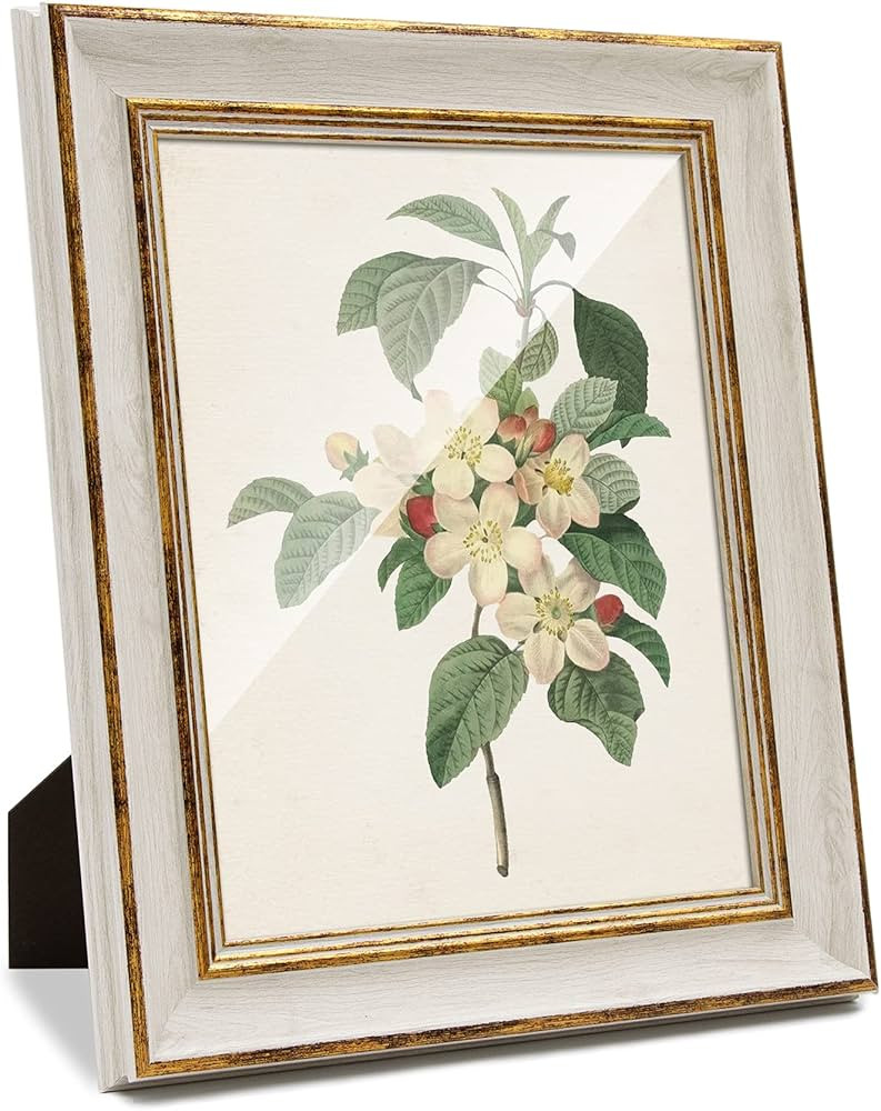 Sapowerntus 8x10 Picture Frame Antique Vintage White Gold Photo Frames Set Wall Hanging Tabletop ... | Amazon (US)