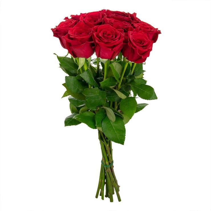 Dozen Fresh Cut Red Roses - Spritz™ | Target