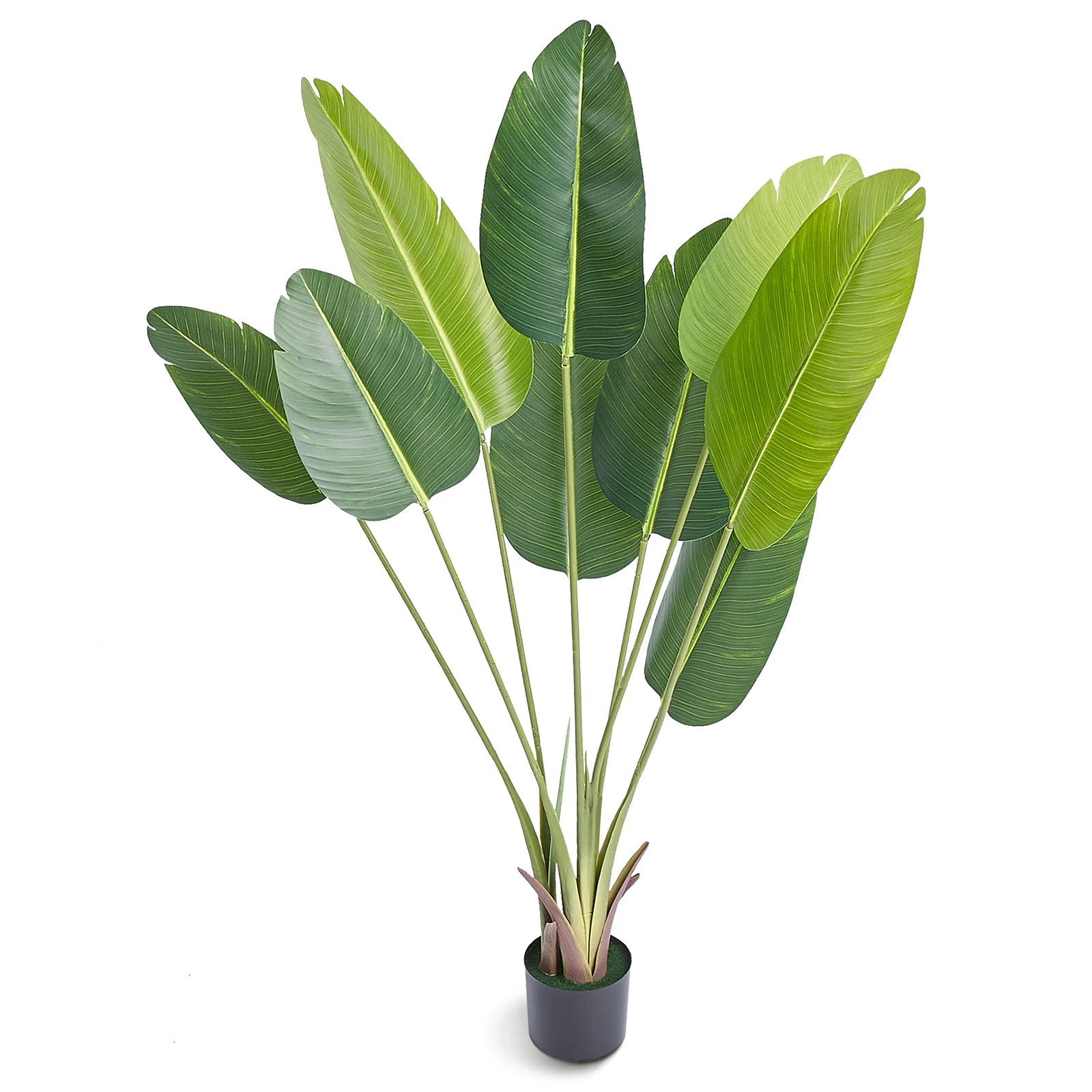 GlasFlength 5 FT Tall Artificial Birds Of Paradise Tree PE Material Anti Tip Tilt Protection Low Maintenance Lifelike Green Fake Tree for Home Office | Lowe's
