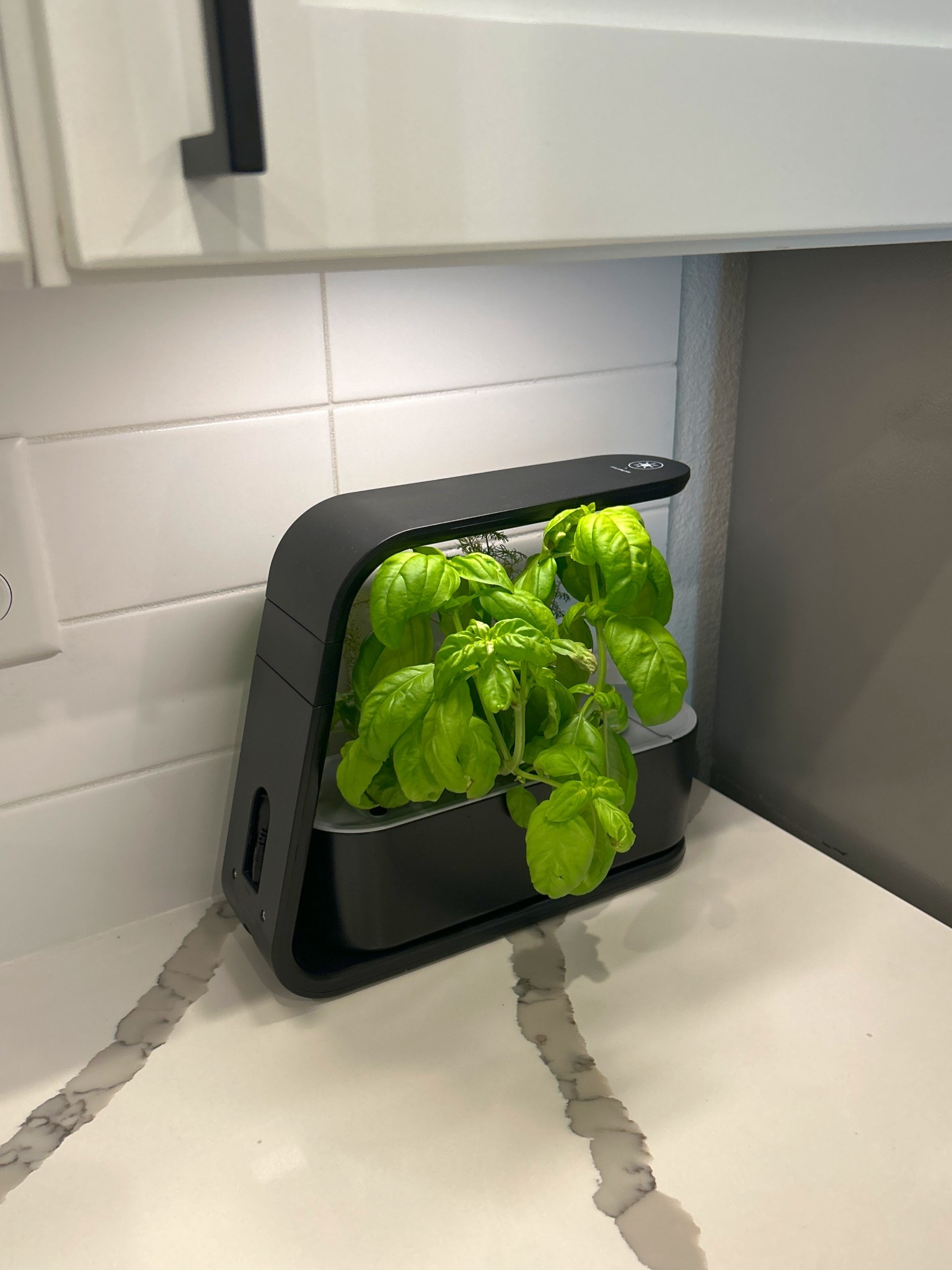 My AeroGarden Indoor Garden is working overtime 🌿 basil is growing like crazy and I barely have to think about it.

Perfect for indoor herb gardening and small spaces. Fresh basil on hand 24/7 🤌🏽🤌🏽

Indoor garden, kitchen garden, home finds, fresh herbs, grow your own food 

#LTKfoodie #LTKHome