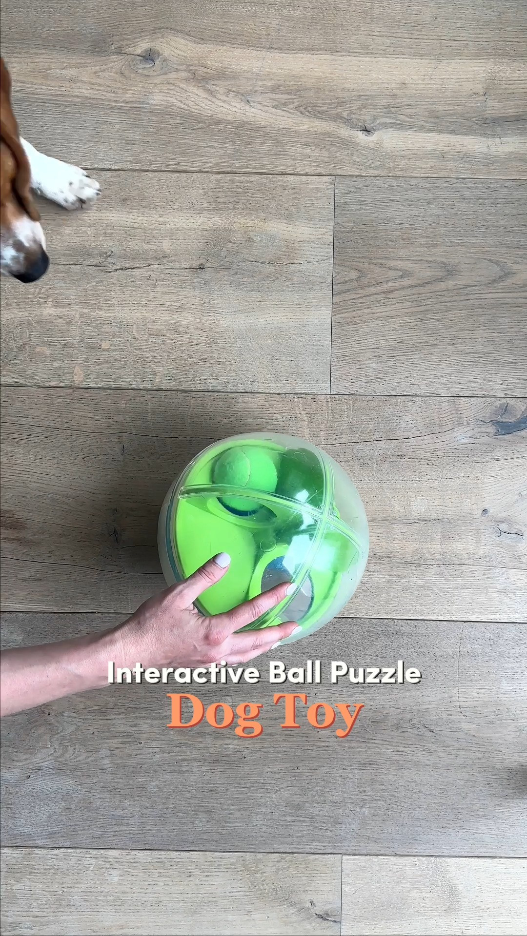 The Outward Hound Treat Tumble Interactive Puzzle Ball is a total game-changer for daily pet sanity. Did you know that just 15 minutes of interactive puzzle play equals roughly 30 minutes of physical running for a dog? 🐶 Perfect for busy dog owners and active families who need a durable, high-utility indoor activity to burn off mental energy and stop destructive chewing habits 🧠 #dogparent #dogenrichment #dogpuzzle #dogtraining #petwellness #interactivetoys #petcare  

#LTKmomlife #LTKHome