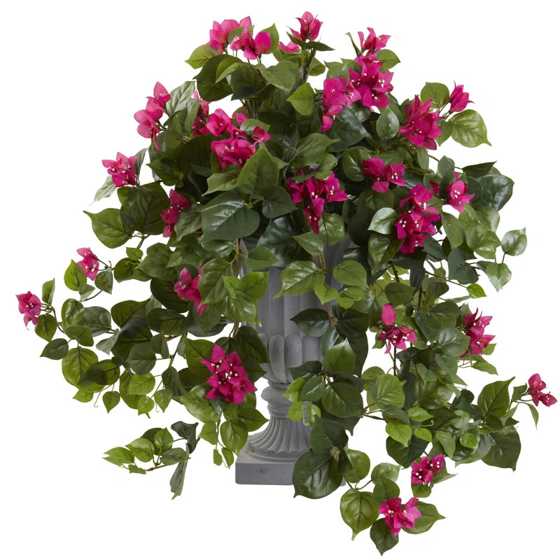 Bougainvillea Flowering Silk Plant with Decorative Urn, UV Resistant (Indoor/Outdoor) | Wayfair North America
