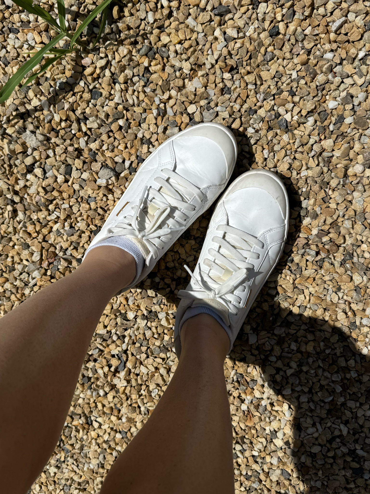 White tennis shoes are my go to! Highly recommend these Dr. Scholls shoes for your euro summer and I’ve linked my other go tos

#LTKShoeCrush #LTKFindsUnder100 #LTKSeasonal