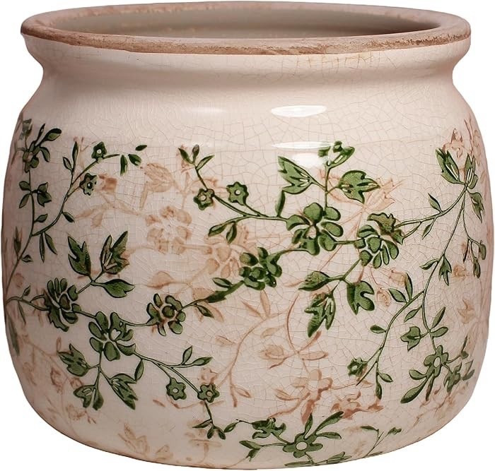 #amazon
#amazondeals
#amazonfinds
#amazonfloral
#vase
#floralvase
#viral
#sale
#amazonsale

#LTKSeasonal #LTKSaleAlert #LTKHome