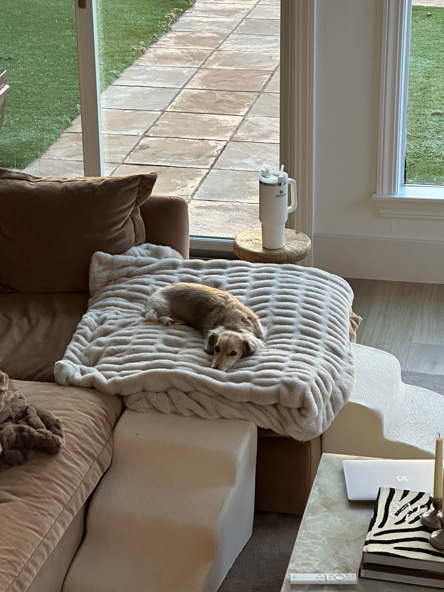 Our (and Gigi’s) favorite throw!! These are truly worth the splurge imo. Super soft and kind of weighted. I have the antique ivory and driftwood in size large. 

#LTKselfcare #LTKmorningroutine #LTKHome