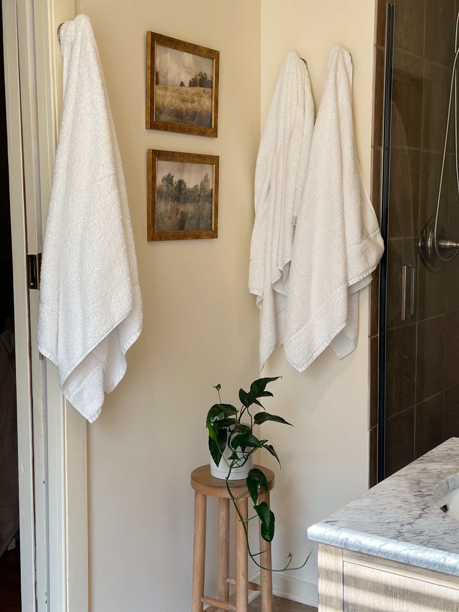 bathroom corner details 🥰🫶🏻 

#LTKunder100 #LTKFind #LTKhome