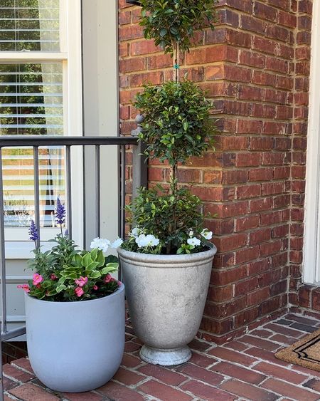 The perfect timeless planters for under $20! Give your porch an update with these beautiful and affordable planters. 

Porch inspo, porch inspiration, front porch, topiary, affordable outdoor decor, planter, pretty porch, home decor, spring decor, Walmart, resin planter 

#LTKfindsunder50 #LTKSeasonal #LTKhome