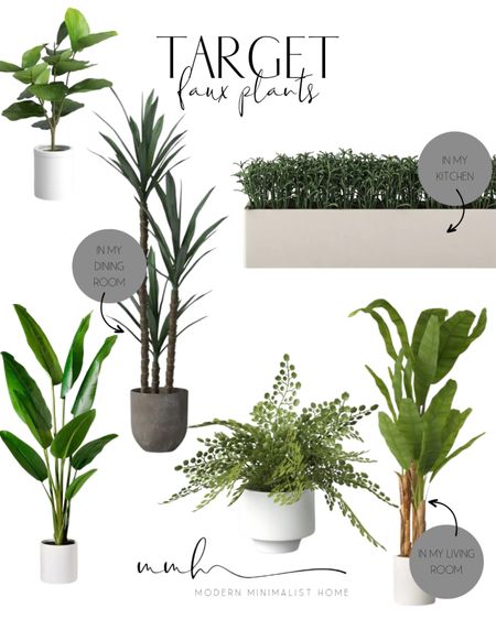 Get ready for spring with these beautiful Target Faux plants. 


Plants, faux plants, artificial plants, house plants, outdoor plants, fake plants, indoor plants, patio plants, porch plants, artificial tree, faux tree, indoor tree, Home, home decor, home decor on a budget, home decor living room, modern home, modern home decor, modern organic, Amazon, wayfair, wayfair sale, target, target home, target finds, affordable home decor, cheap home decor, sales

#LTKhome