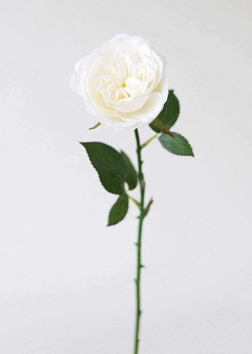 White English Cabbage Artificial Rose - 20.5" | Afloral