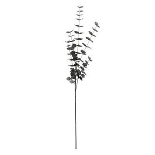 Tall Black Eucalyptus Stem by Ashland® | Michaels | Michaels Stores