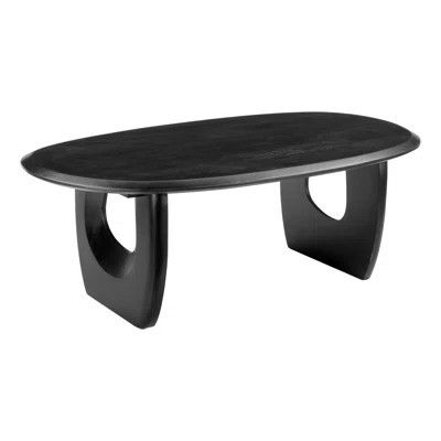 Arasan Coffee Table Black | Wayfair North America