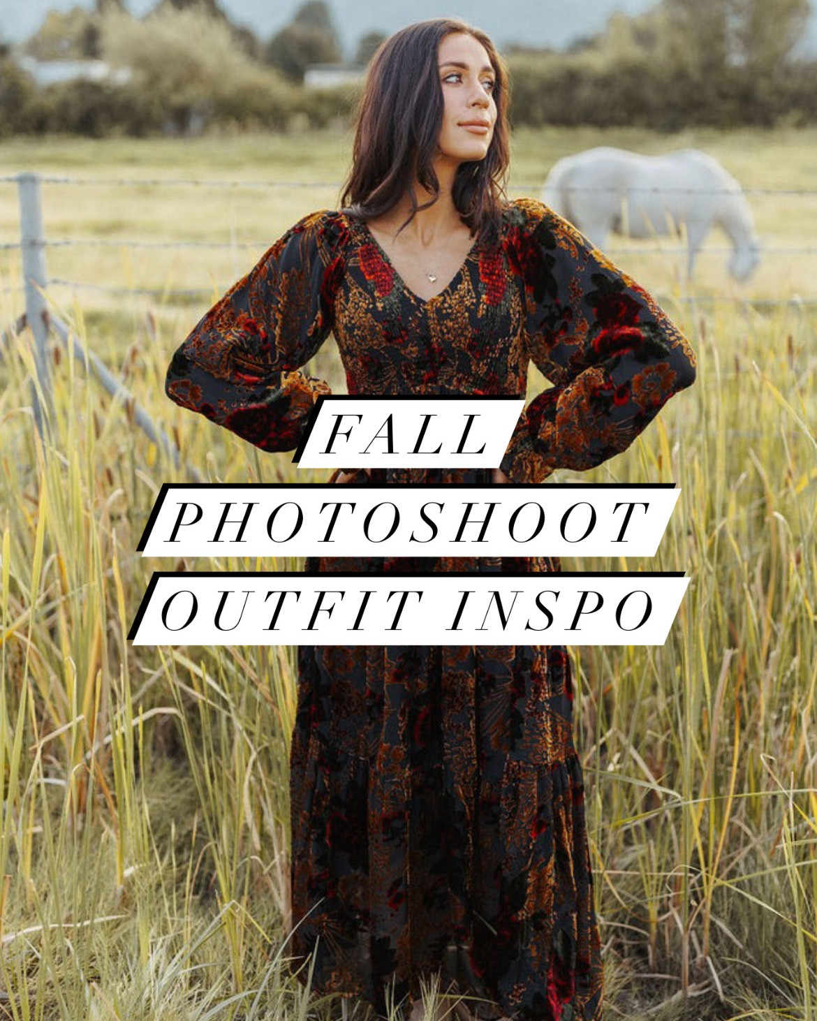 fall photoshoot outfit inspiration

fall outfits, fall dresses, fall photoshoot dresses, family photos, fall family photos



#LTKMidsize #LTKSeasonal #LTKStyleTip