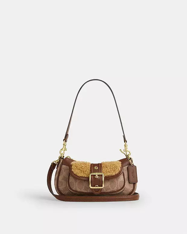 Ashton Mini Shoulder Bag | Coach Outlet US