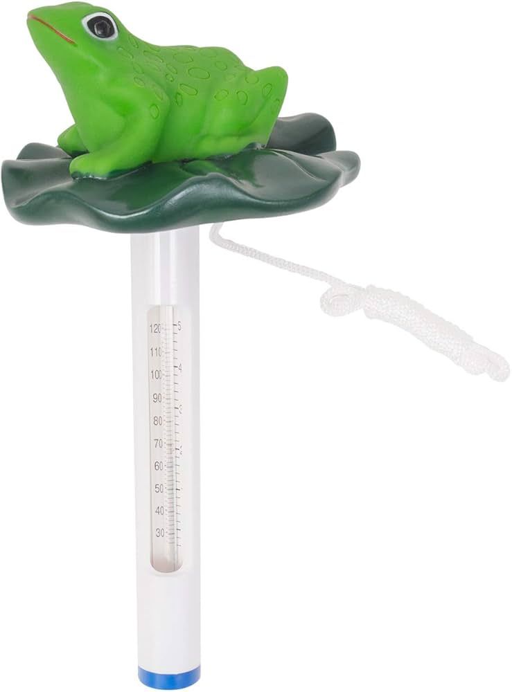 Frog on a Lily Pad Floating Thermometer for Swimming Pools | Amazon (CA)