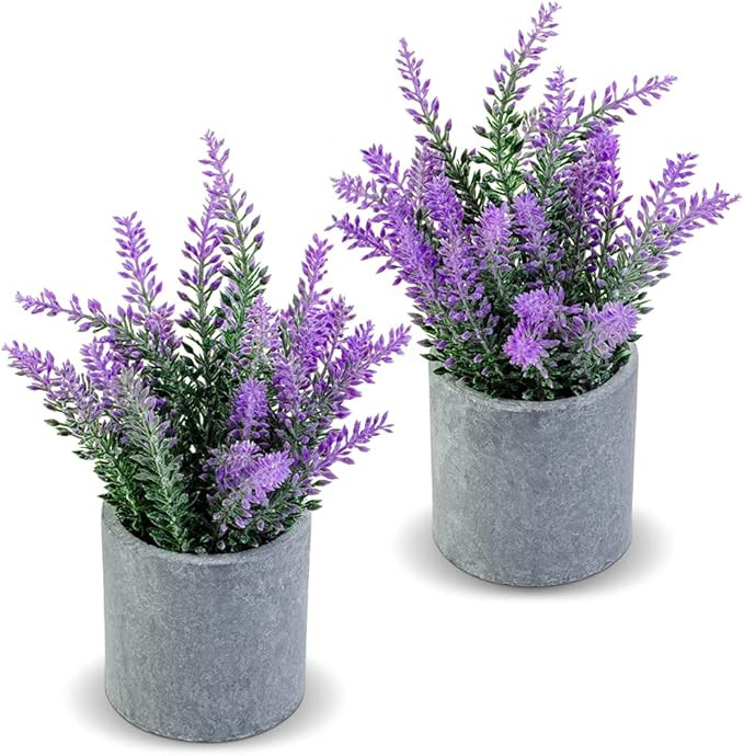 CADNLY Artificial Lavender Plant in Pots - Faux Lavender Artificial Flowers Decor - Fake Lavender... | Amazon (US)
