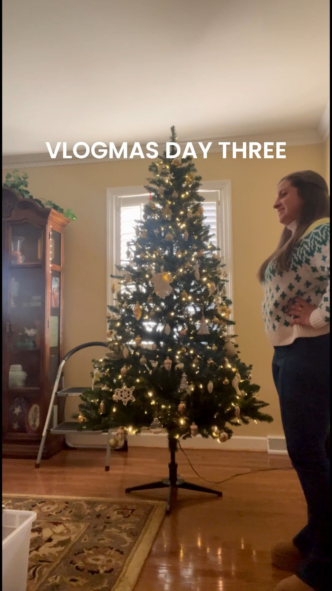 VLOGMAS DAY THREE 🎄🎅🏼❤️ One of my favorite Christmas memories is decorating my grandmother’s Christmas trees with her 🎄 



#LTKdayinmylife #LTKHoliday #LTKvlog