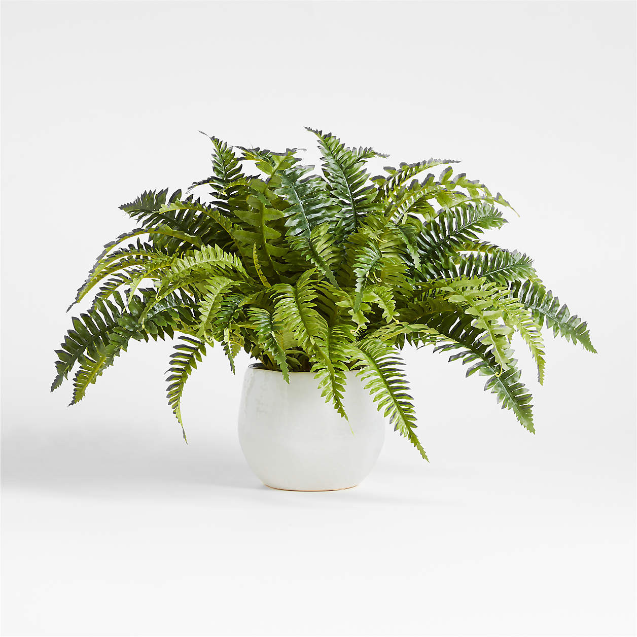 Potted Faux Fern Small 18" + Reviews | Crate & Barrel | Crate & Barrel