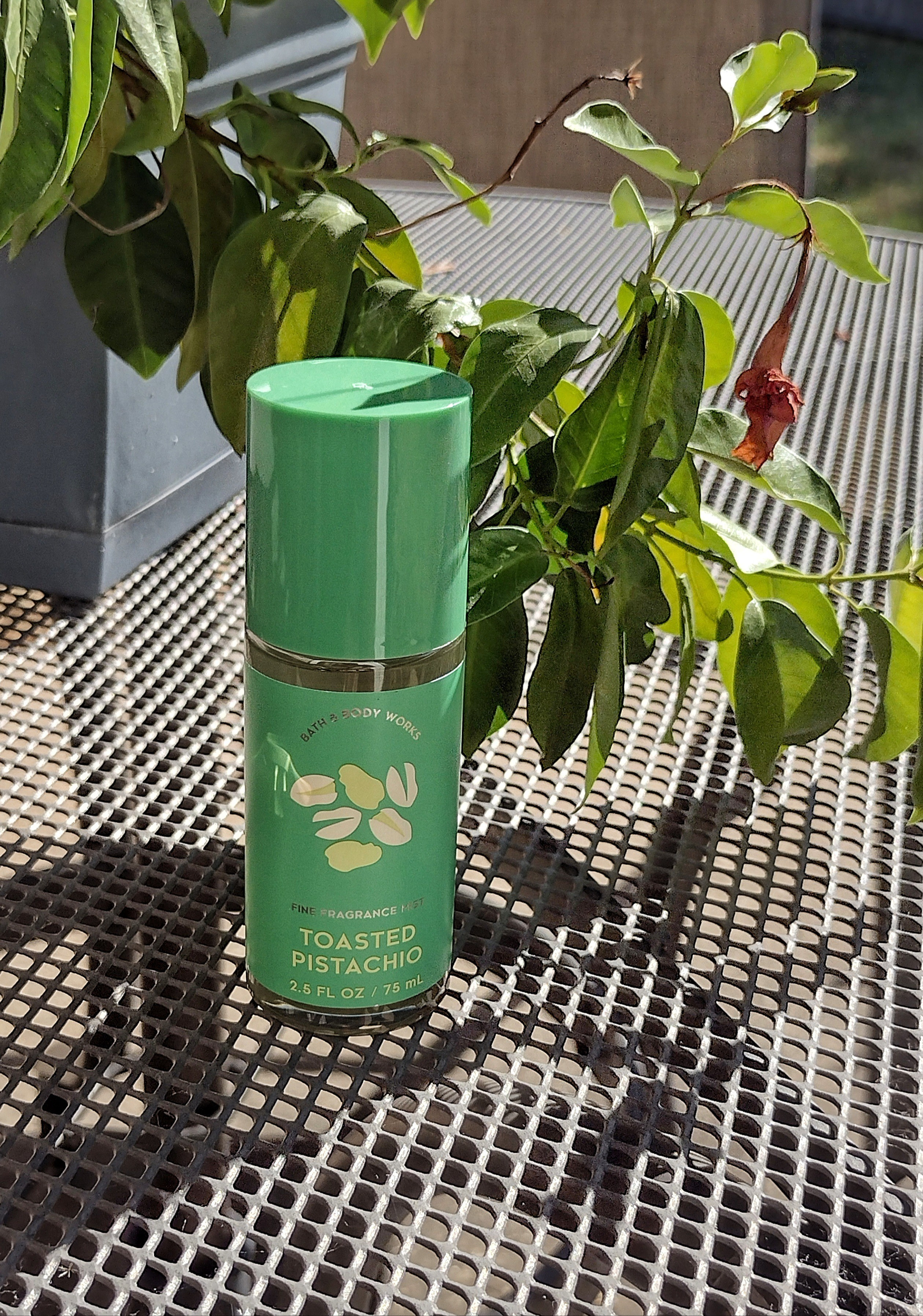 Looking for a nice, sweet, clean scent to wear this spring?🌱 I'm still enjoying thime Bath & Body Works Toasted Pistachio. I had it from last year around Autumn season and it carries over well I to spring. It's light, nutty, airy and perfect for smelling fresh yet warm. Plus, it's a great scent for the spring holidays like Easter🐣 🐇

#LTKSpringSale #LTKSeasonal #LTKBeauty